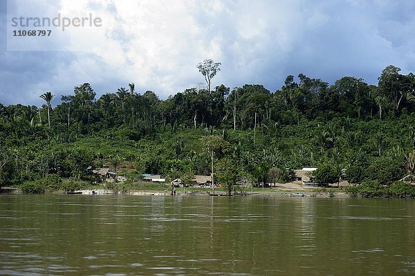 Indigenen-Dorf Sawle Muybu  Volk der Mudndururú  am Fluss Rio Tapajos  Amazonas-Regenwald  Distrikt Itaituba  Pará  Brasilien  Südamerika