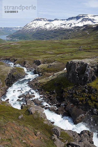 Fluss Fjardara  Landschaft zwischen Seydisfjördur und Egilsstadir  Austurland  Island  Europa