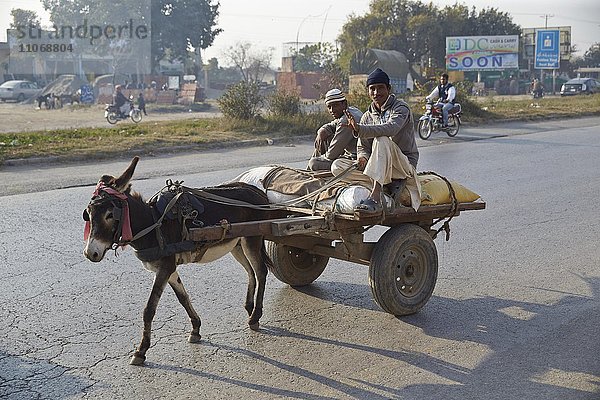 Eselgespann auf der Straße  Rawalpindi  Pakistan  Asien