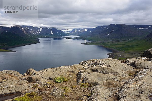 Blick vom Aussichtspunkt Sandafell  Fjord Dyrafjördur  Westfjorde  Westisland  Island  Europa