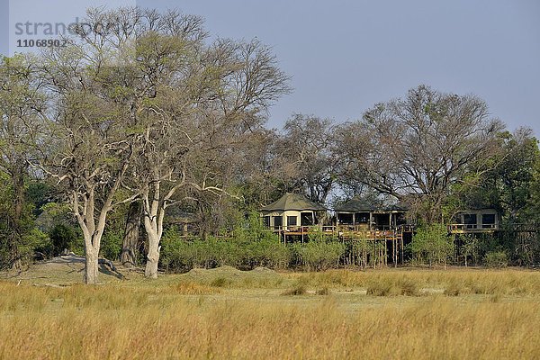 Chalets auf Stelzen  Nambwa Lodge am Kwando-Fluss  Bwabwata-Nationalpark  Sambesi Region  Caprivi-Streifen  Namibia  Afrika