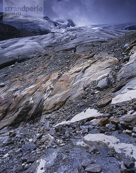 Schlatenkees  Gletscher  am Gletscherrand  Venedigergruppe  Nationalpark Hohe Tauern  Osttirol  Tirol  Österreich  Europa