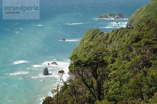 Wilde Küste mit Brandung  Regenwald mit dichter Vegetation  türkises Meer  Westcoast  Südinsel  Neuseeland  Ozeanien