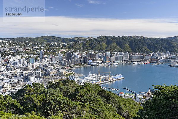 Stadtansicht  Ausblick vom Mt. Viktoria auf Citycenter und Hafen von Wellington  Nordinsel  Neuseeland  Ozeanien