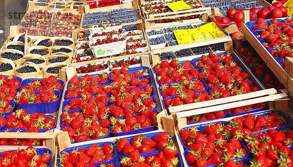 Frische Erdbeeren und andere Beeren in Schalen auf einem Marktstand  Bremen  Deutschland  Europa
