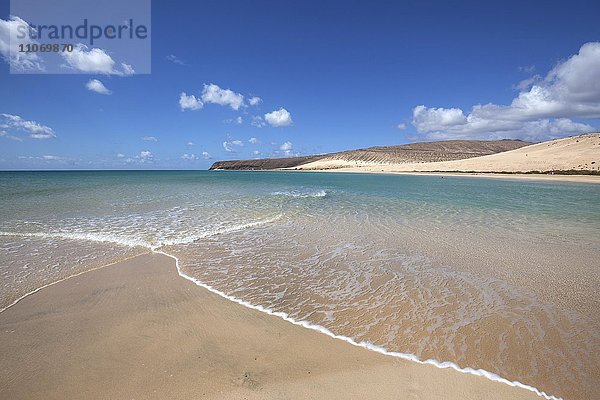 Strand Playa Risco del Paso  Playa de Sotavento  Jandia  Fuerteventura  Kanarische Inseln  Spanien  Europa