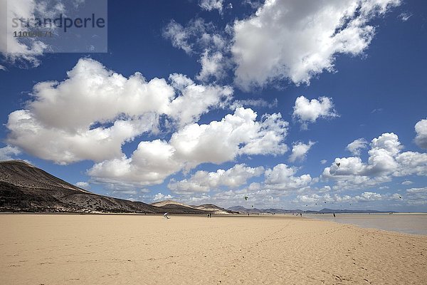 Strand Playa Risco del Paso  Playa de Sotavento  Jandia  Fuerteventura  Kanarische Inseln  Spanien  Europa