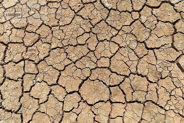 Vertrocknete Erde  Trockenrisse im Boden  getrocknete Lehmoberfläche  Fuerteventura  Kanarische Inseln  Spanien  Europa
