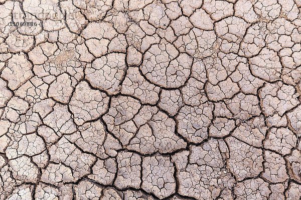 Vertrocknete Erde  Trockenrisse im Boden  getrocknete Lehmoberfläche  Fuerteventura  Kanarische Inseln  Spanien  Europa