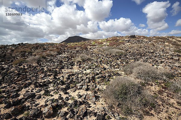 Karge Landschaft im südlichen Bereich des Parque Natural de Corralejo  Fuerteventura  Kanarische Inseln  Spanien  Europa