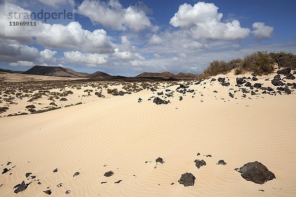 Wanderdünengebiet El Jable  Las Dunas de Corralejo  im südlichen Bereich des Parque Natural de Corralejo  Fuerteventura  Kanarische Inseln  Spanien  Europa