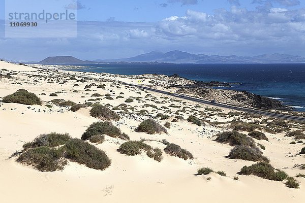 Straße FV 1 führt durch das Wanderdünengebiet El Jable  Las Dunas de Corralejo  Parque Natural de Corralejo  hinten die Insel Los Lobos und Lanzarote  Fuerteventura  Kanarische Inseln  Spanien  Europa