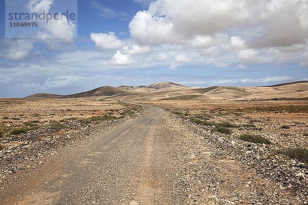 Schotterstraße und wüstenhafte Landschaft mit Wolken bei Tindaya  Fuerteventura  Kanarische Inseln  Spanien  Europa