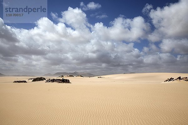 Sanddünen mit Wolken  Wanderdünengebiet El Jable  Las Dunas de Corralejo  Parque Natural de Corralejo  Fuerteventura  Kanarische Inseln  Spanien  Europa