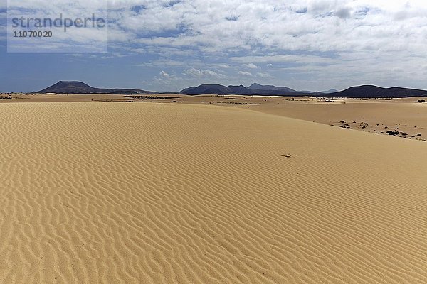 Sanddünen im Wanderdünengebiet El Jable  Las Dunas de Corralejo  Parque Natural de Corralejo  Fuerteventura  Kanarische Inseln  Spanien  Europa