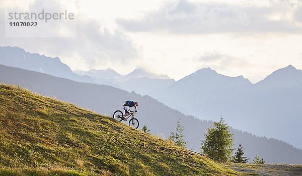 Mountainbiker bei der Abfahrt über einen Forstweg  Mutterer Alm bei Innsbruck  hinten Nordkette der Alpen  Tirol  Österreich  Europa