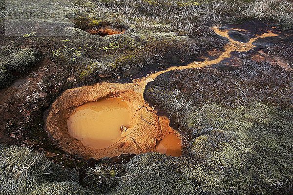 hoch oben Sehenswürdigkeit Europa Tal Heiße Quelle Temperatur Zimmer Haukadalur Island Mineral