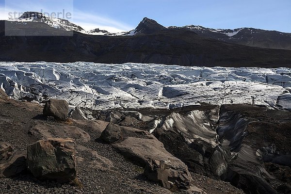 Gletscherzunge  Gletschereis mit Spuren von Vulkanasche  Gletscher Svínafellsjökull  bei Skaftafell  Südisland  Island  Europa