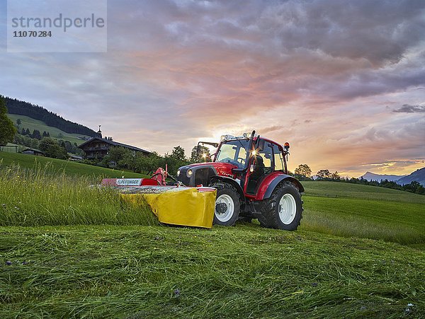 Traktor mäht bei Sonnenaufgang ein Feld  Hopfgarten  Brixental  Tirol  Österreich  Europa