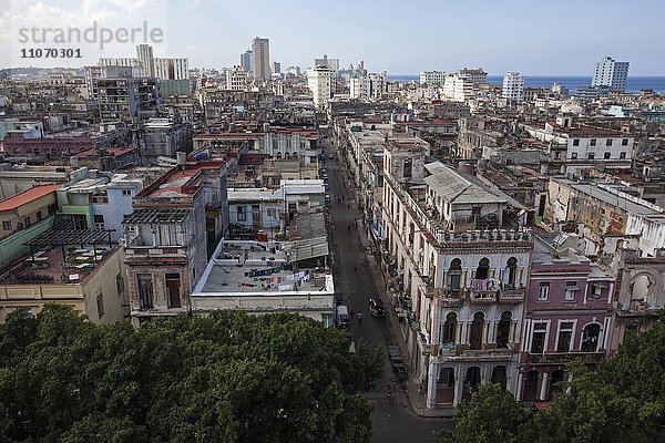Ausblick auf Häuser und Dächer im Stadtzentrum  Havanna  Kuba  Nordamerika