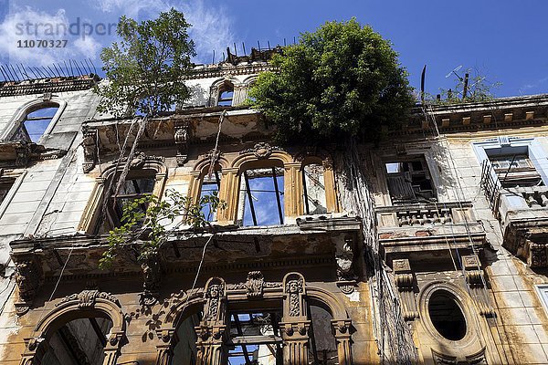 Marode Hausfassaden  Altstadt  Havanna  Kuba  Nordamerika