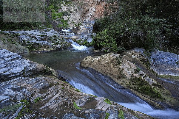 Wasserfall Salto del Caburni  Parque Natural Topes de Collantes  Sierra del Escambray  Provinz Cienfuegos  Kuba  Nordamerika