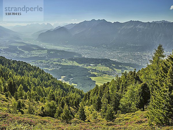 Ausblick auf das Inntal und Innsbruck vom Zirbenweg  Patscherkofel  Innsbruck  Tirol  Österreich  Europa