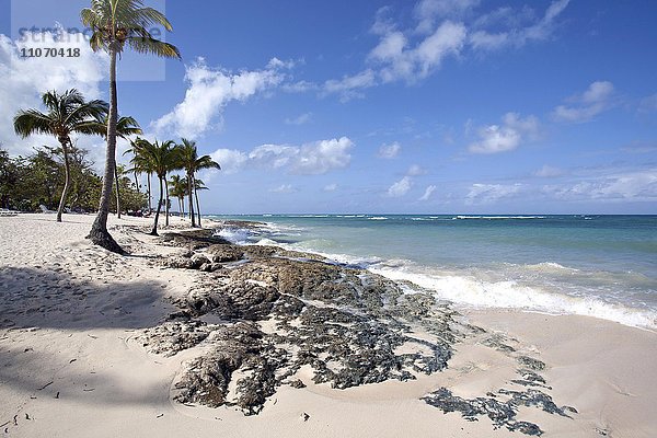 Türkisblaues Meer und Palmen am Strand Playa Guardalavaca  Provinz Holguin  Kuba  Nordamerika