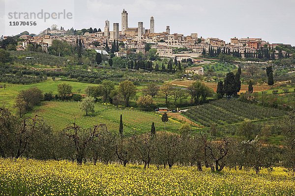 Ausblick über Landschaft im Frühling auf San Gimignano  Provinz Siena  Toskana  Italien  Europa