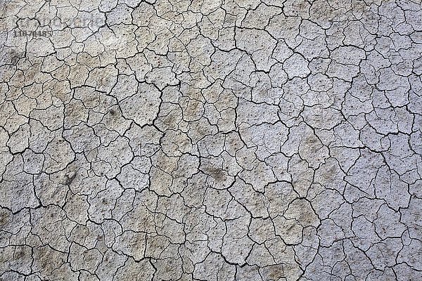 Vertrocknete Erde  Trockenrisse im Boden  getrocknete Lehmoberfläche  Crete Senesi  Provinz Siena  Toskana  Italien  Europa