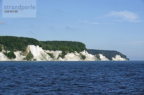 Kreideküste  Kreidefelsen  Nationalpark Jasmund  bei Sassnitz  Ostsee  Insel Rügen  Mecklenburg-Vorpommern  Deutschland  Europa