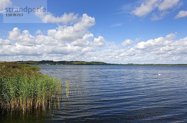 Zicker See  Halbinsel Mönchgut  Ostsee  Insel Rügen  Mecklenburg-Vorpommern  Deutschland  Europa