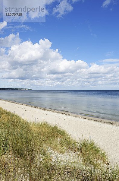 Strand und Ostsee bei Lobbe  Gemeinde Middelhagen  Halbinsel Mönchgut  Ostsee  Insel Rügen  Mecklenburg-Vorpommern  Deutschland  Europa
