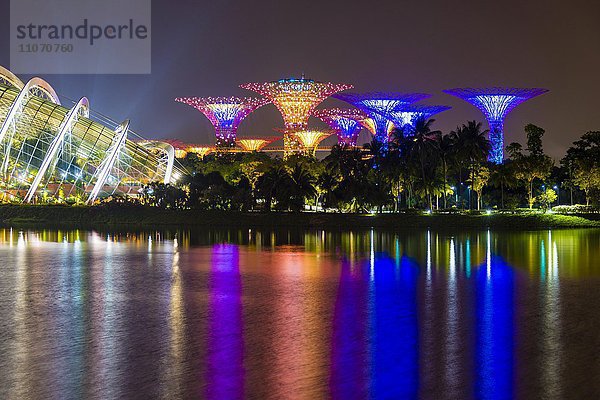 Wasserspiegelung bei Nacht  Supertrees  Flower Dome  Gardens by the Bay  Marina Bay  Downtown Core  Singapur  Asien