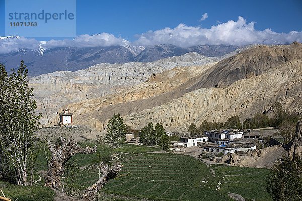 Berglandschaft  Erosionslandschaft mit kleinem Dorf  Stupa und grünen Feldern  Yara  Königreich Mustang  Upper Mustang  Himalaya  Nepal  Asien