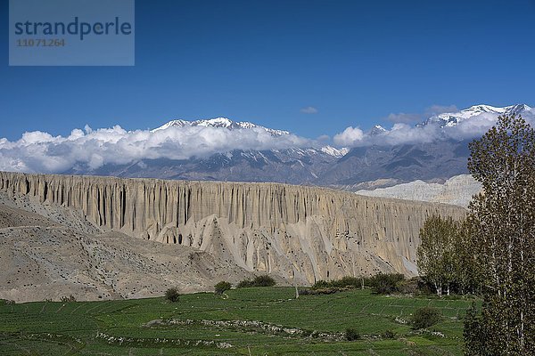 Schneebedeckte Berge  Berglandschaft  Erosionslandschaft und grüne Felder bei Yara  Königreich Mustang  Upper Mustang  Himalaya  Nepal  Asien