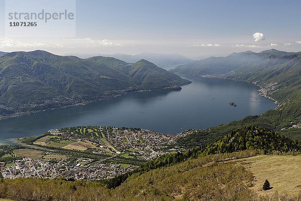 Ausblick auf Halbinsel Locarno und Ascona mit Lago Maggiore  Tessin  Schweiz  Europa