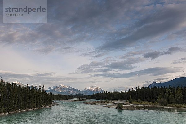 Mount Hardisty und Mount Kerkeslin mit Athabasca River  Ausblick von Fernstraße Icefields Parkway  Jasper Nationalpark  Alberta  Kanada  Nordamerika