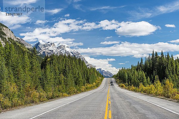 Fernstraße Icefields Parkway  Highway 93  kanadische Rocky Mountains  Alberta  Kanada  Nordamerika