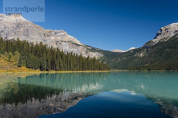 Emerald Lake  Yoho Nationalpark  kanadische Rocky Mountains  British Columbia  Kanada  Nordamerika
