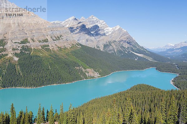 Türkiser Gletschersee Peyto Lake  Banff Nationalpark  kanadische Rocky Mountains  Alberta  Kanada  Nordamerika