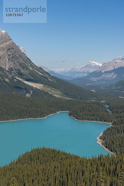 Türkiser Gletschersee Peyto Lake  Banff Nationalpark  kanadische Rocky Mountains  Alberta  Kanada  Nordamerika