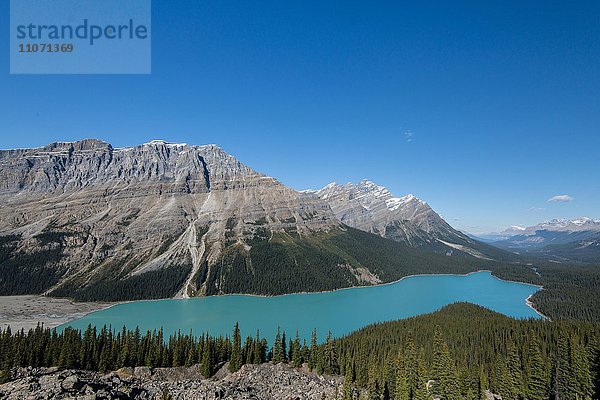 Türkiser Gletschersee Peyto Lake  Banff Nationalpark  kanadische Rocky Mountains  Alberta  Kanada  Nordamerika
