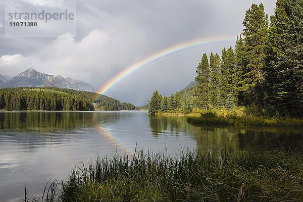 Regenbogen am Two Jack Lake  Banff Nationalpark  kanadische Rocky Mountains  Alberta  Kanada  Nordamerika