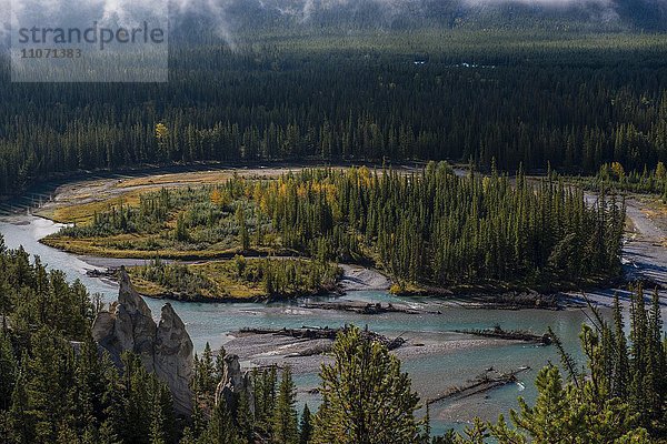 Ausblick auf das Bow River Tal  Hoodoos Viewpoint  Banff Nationalpark  Alberta  Kanada  Nordamerika