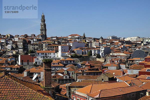 Altstadt mit Kirche Igreja dos Clérigos  Porto  Portugal  Europa