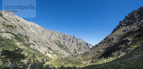 Restonica Fluss fließt an seiner Quelle durch Gebirgstal  Restonica Hochtal  Corte  Département Haute-Corse  Korsika  Frankreich  Europa