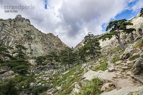 Gebirgslandschaft im Golo-Tal  Regionaler Naturpark Korsika  Parc naturel régional de Corse  Korsika  Frankreich  Europa