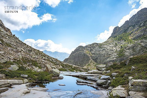 Gumpe im Gebirge  Fluss Golo  Regionaler Naturpark Korsika  Parc naturel régional de Corse  Korsika  Frankreich  Europa