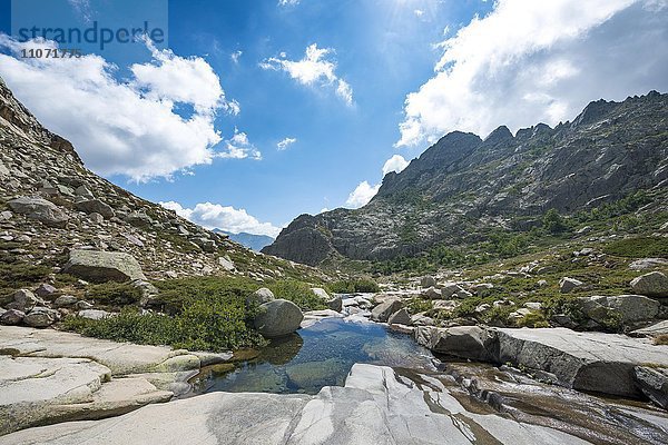 Gumpe im Gebirge  Fluss Golo  Regionaler Naturpark Korsika  Parc naturel régional de Corse  Korsika  Frankreich  Europa